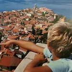 Traditional House ホステル *