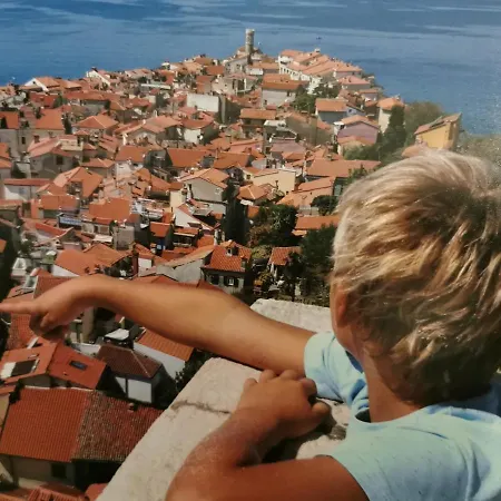 Traditional House Hostal *