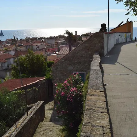 Traditional House