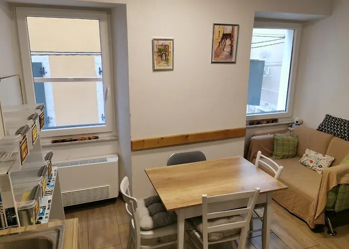 Traditional House ホステル