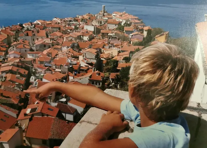 Traditional House ホステル *