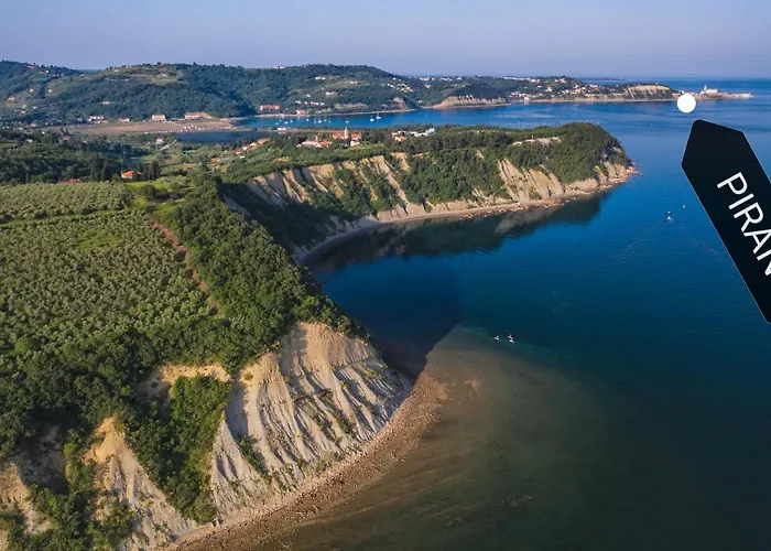 ホステル Traditional House *