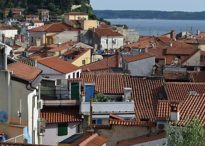 Traditional House 皮兰