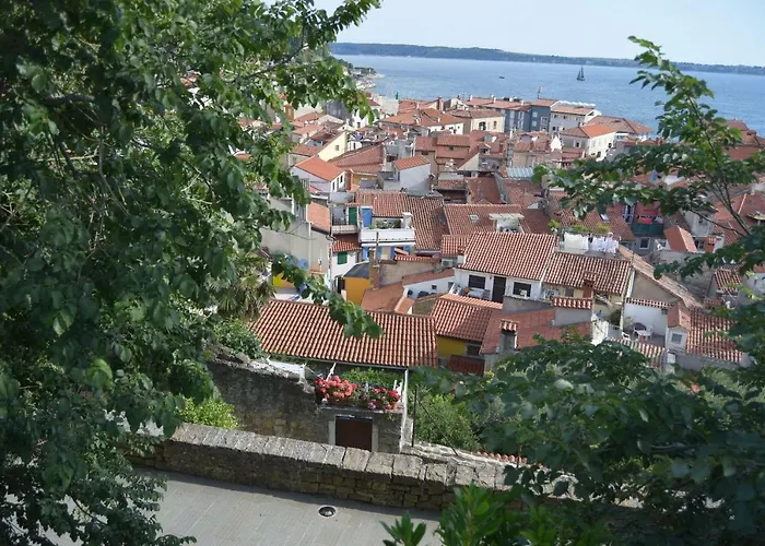 Traditional House * ピラン