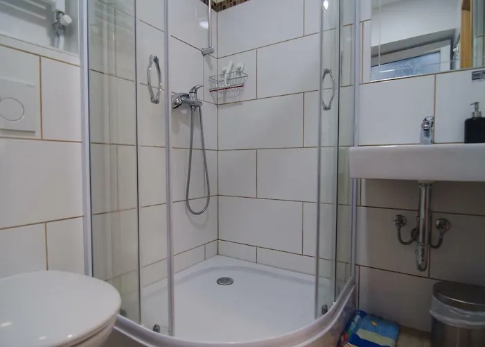 Traditional House ホステル